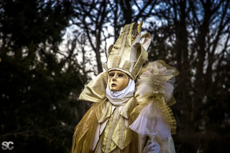 carnevale-in-villa-2019_47394126251_o