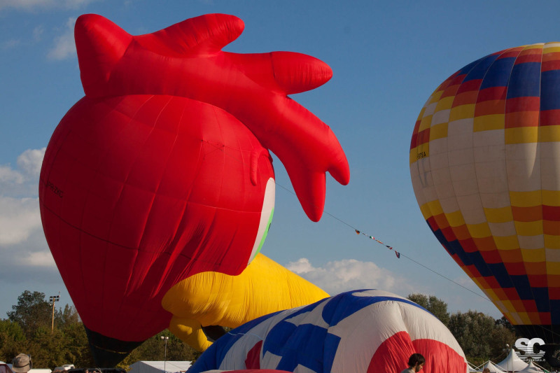 ferrara-balloons-festival_7993440095_o