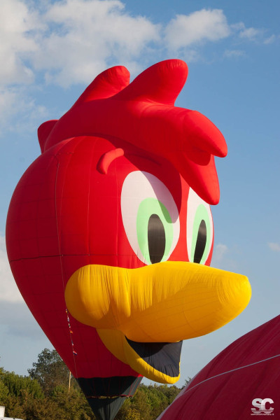 ferrara-balloons-festival_7993458494_o