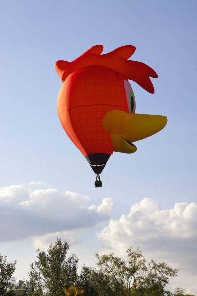 ferrara-balloons-festival_7993487928_o