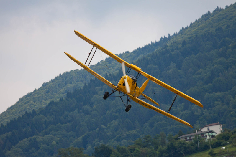 festa-dellaria-tiger-moth_7793770752_o