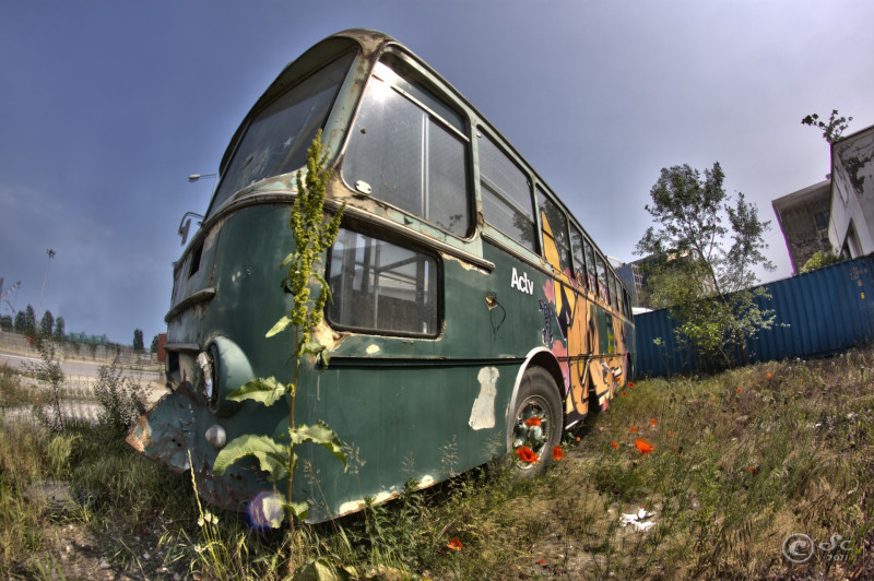 1_the-bus_5718351923_o